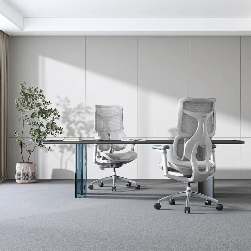 Chaise de bureau ergonomique avec double support lombaire dynamique