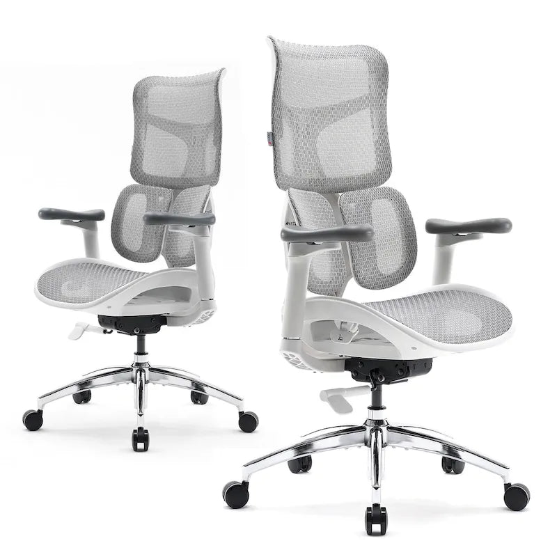 Chaise de bureau ergonomique avec double support lombaire dynamique