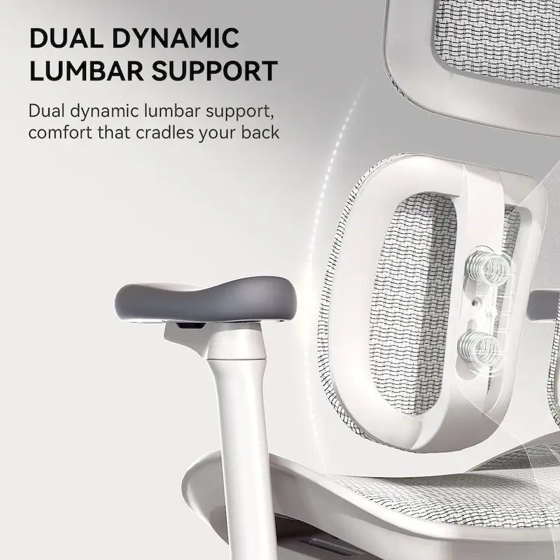 Chaise de bureau ergonomique avec double support lombaire dynamique