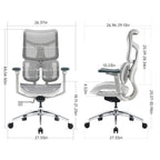 Chaise de bureau ergonomique avec double support lombaire dynamique