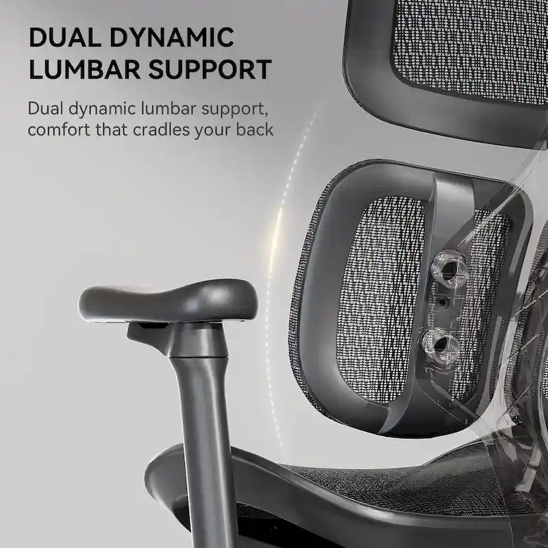 Chaise de bureau ergonomique avec double support lombaire dynamique