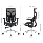 Chaise de bureau ergonomique avec double support lombaire dynamique